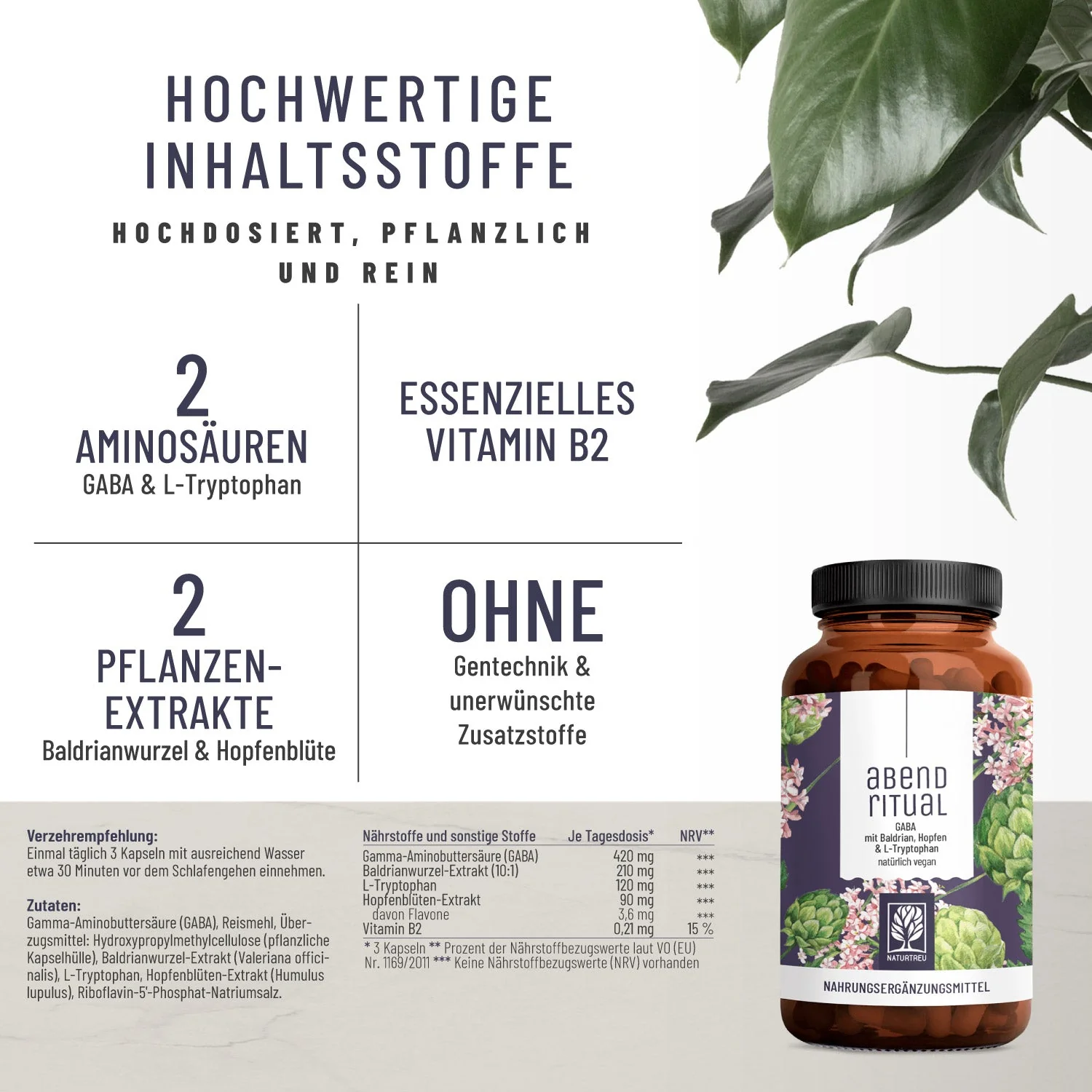 Abendruhe Sparpaket: Felsenfest, Kraftreserve & Abendritual - Image 4