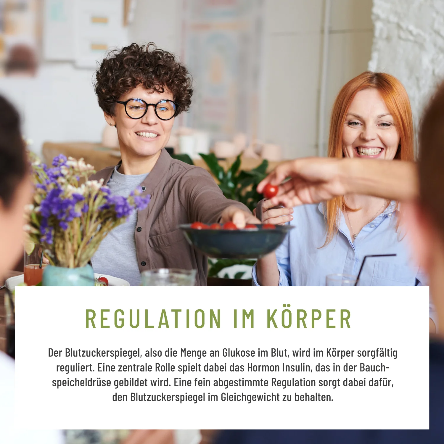 Blutzucker: Komplex mit Zimt, Inositol & Olivenblatt - Image 6