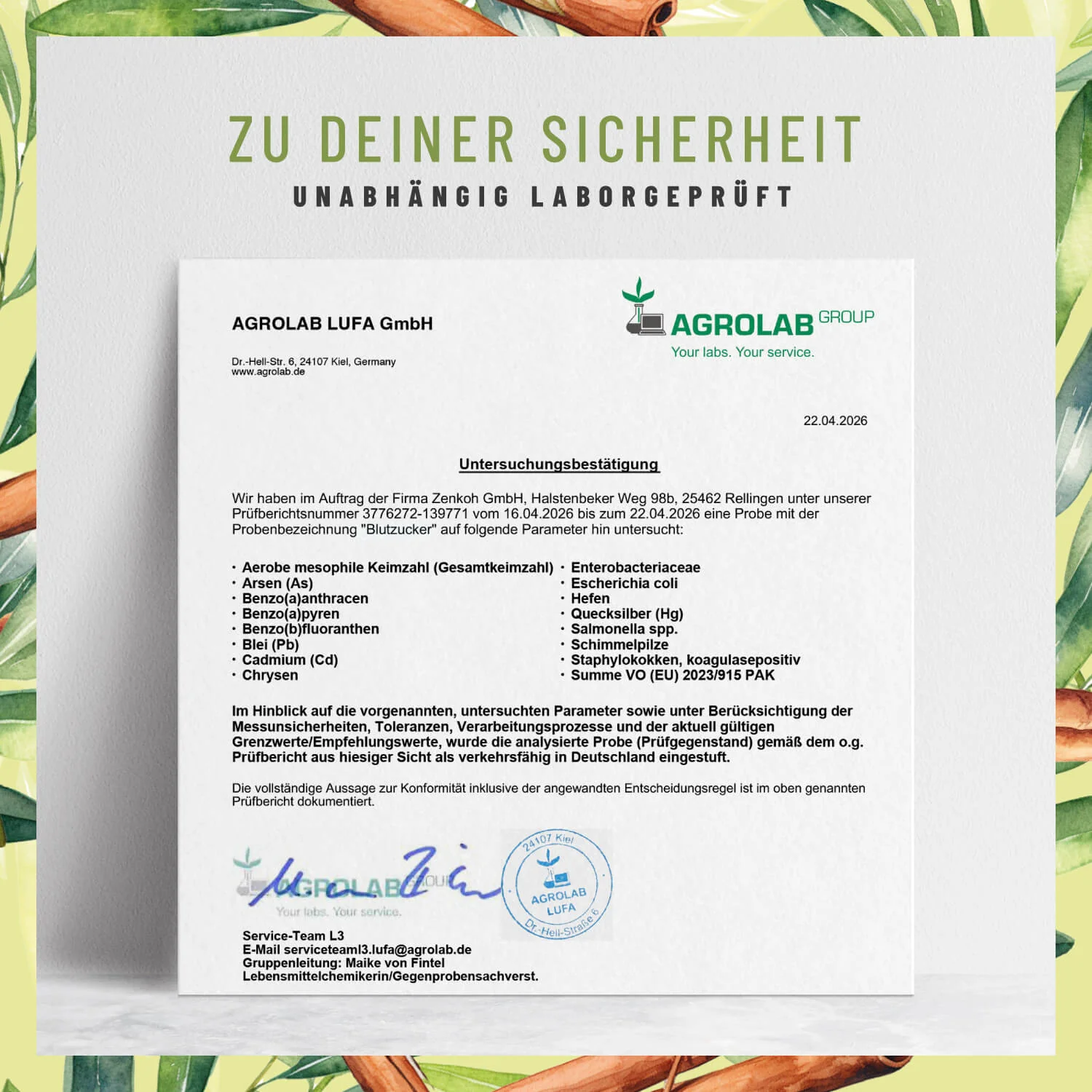 Blutzucker: Komplex mit Zimt, Inositol & Olivenblatt - Image 8