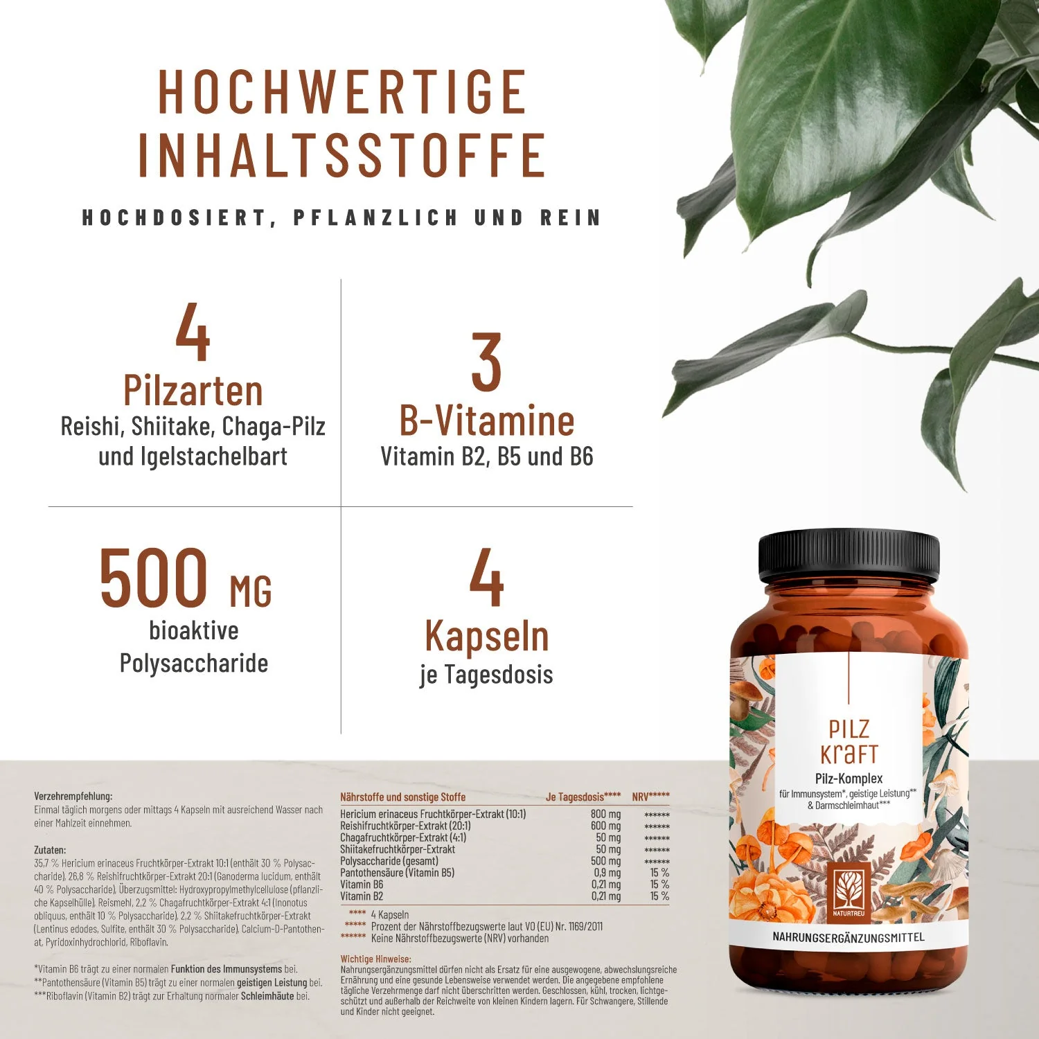 Darmbalance Sparpaket: Florasamen, Florazauber & Pilzkraft - Image 2