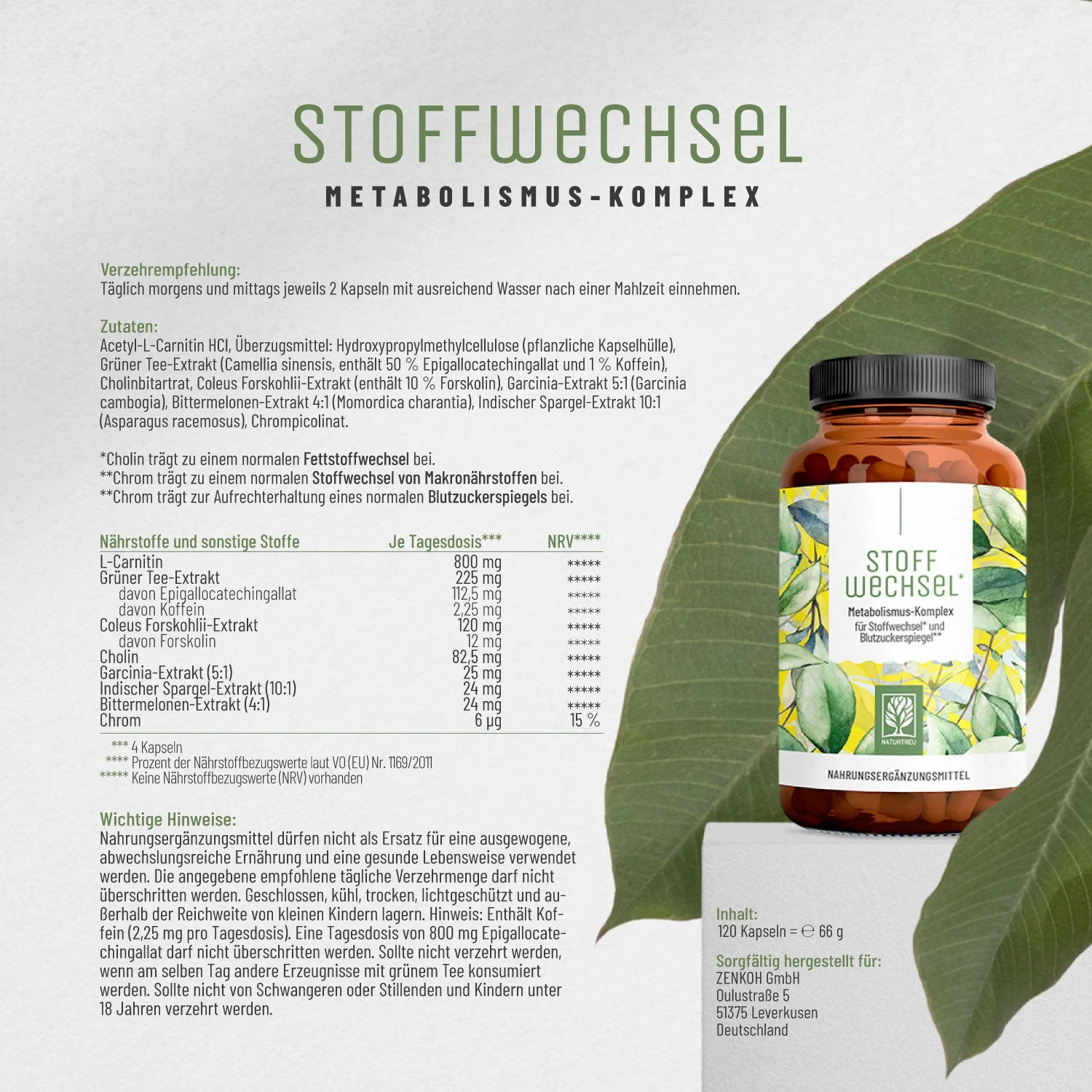 Fettstoffwechsel* Sparpaket: Blütenrein & Stoffwechsel - Image 8