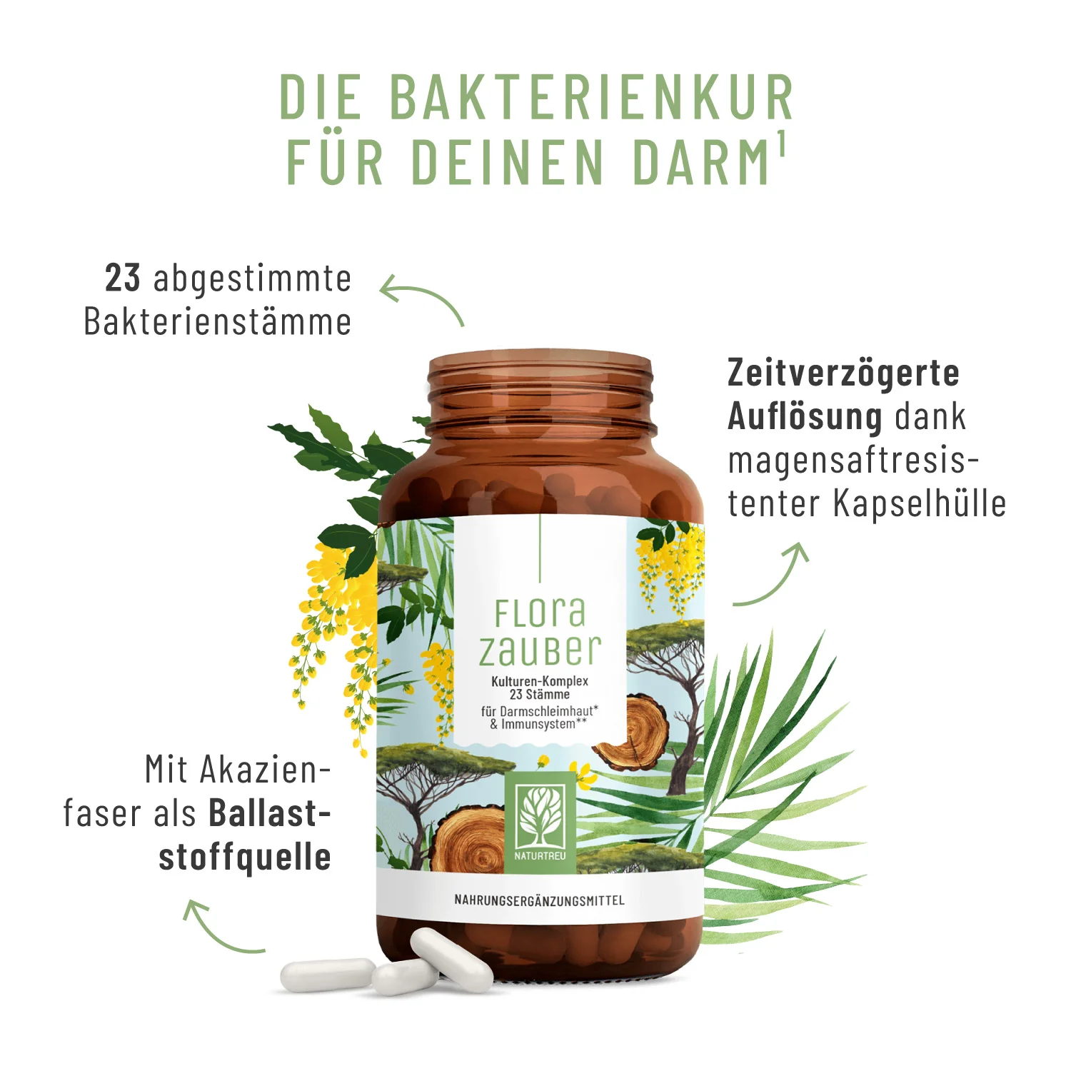 Florazauber: Kulturen-Komplex für den Darm* - Image 3
