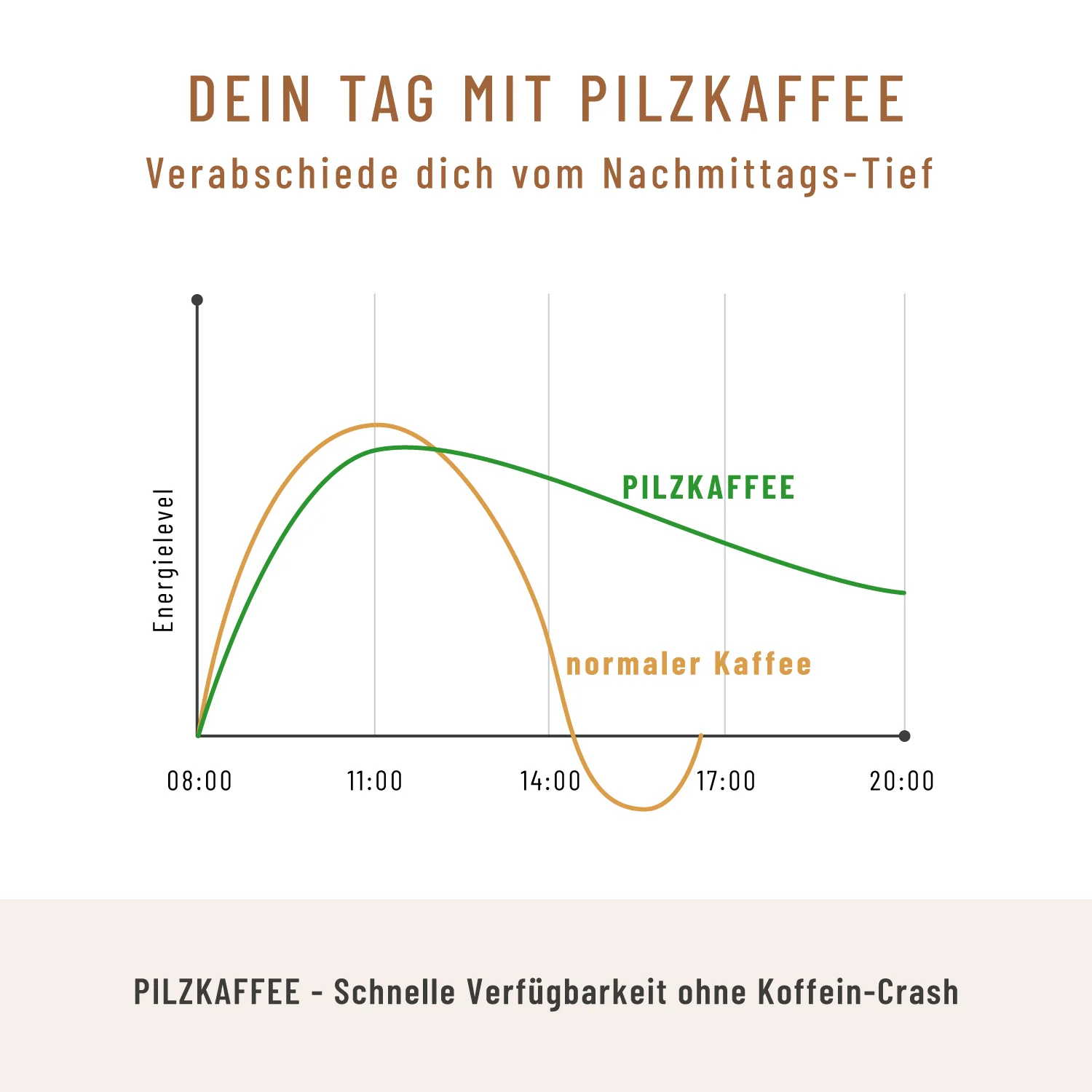 Pilzkaffee: Löwenmähne, Chaga, Reishi & Cordyceps - Image 6