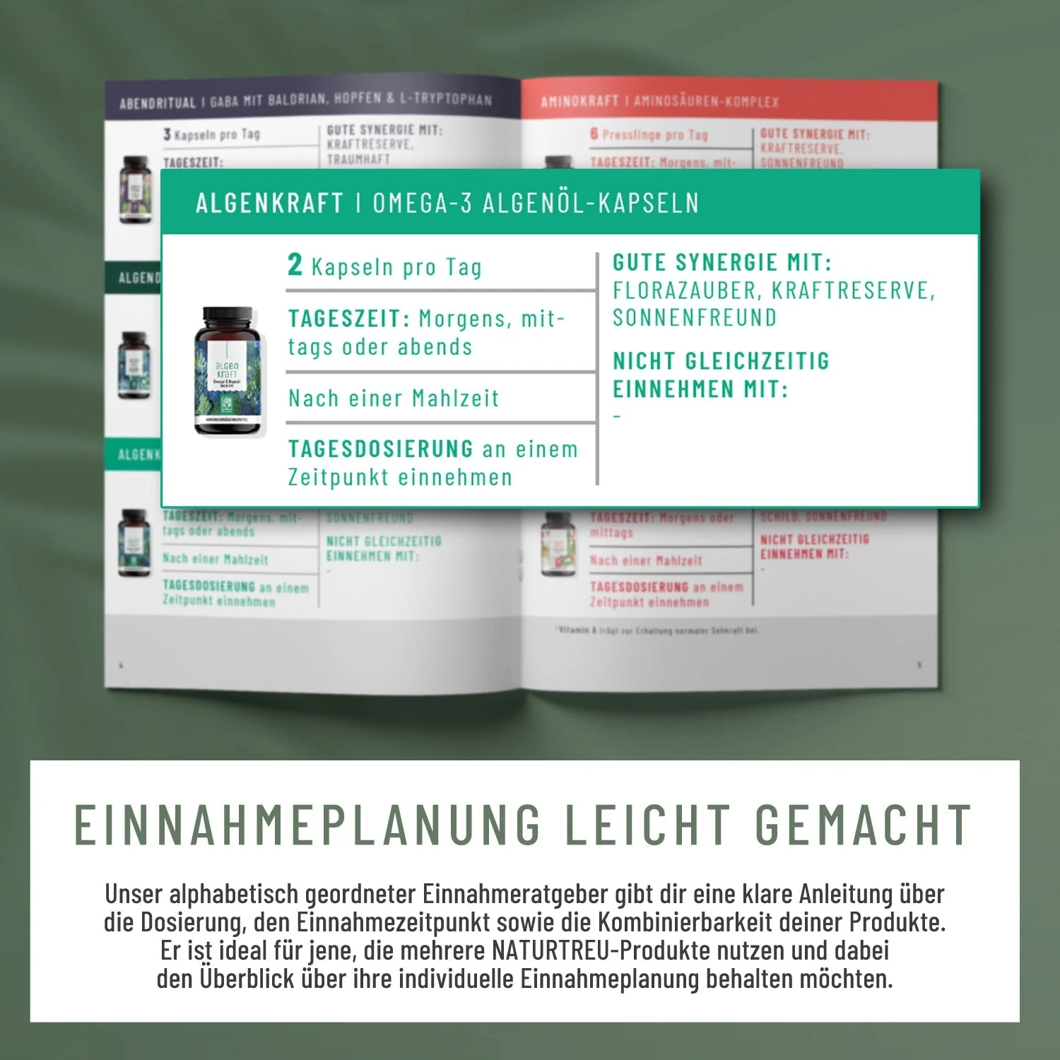 Routine Support Sparpaket - Image 7