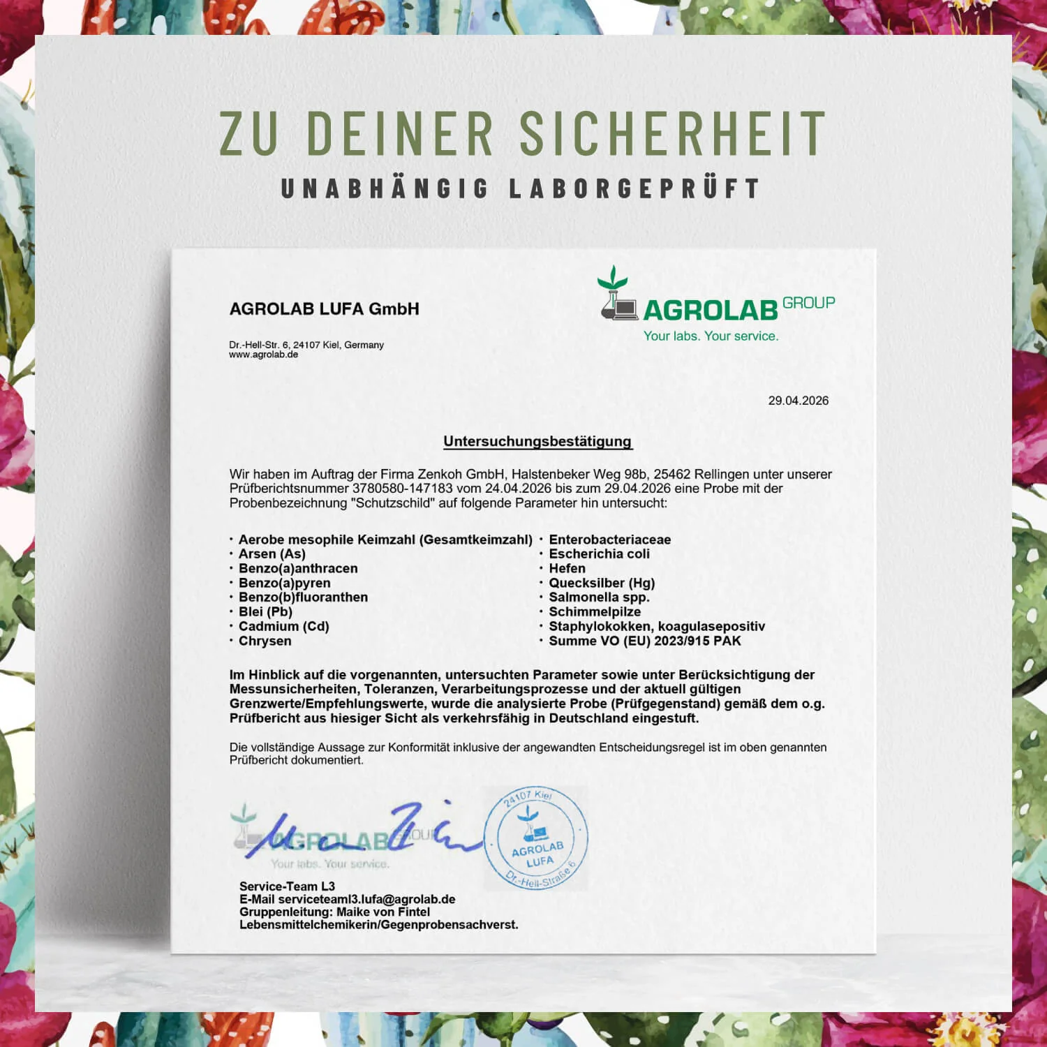Schutzschild: Immun-Komplex¹ - Image 7