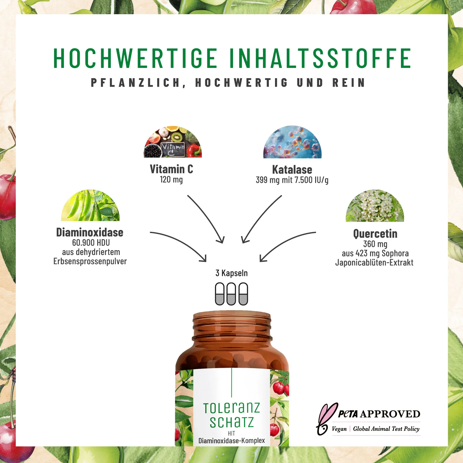 Toleranzschatz: HIT Diaminoxidase (DAO) Komplex - Image 3