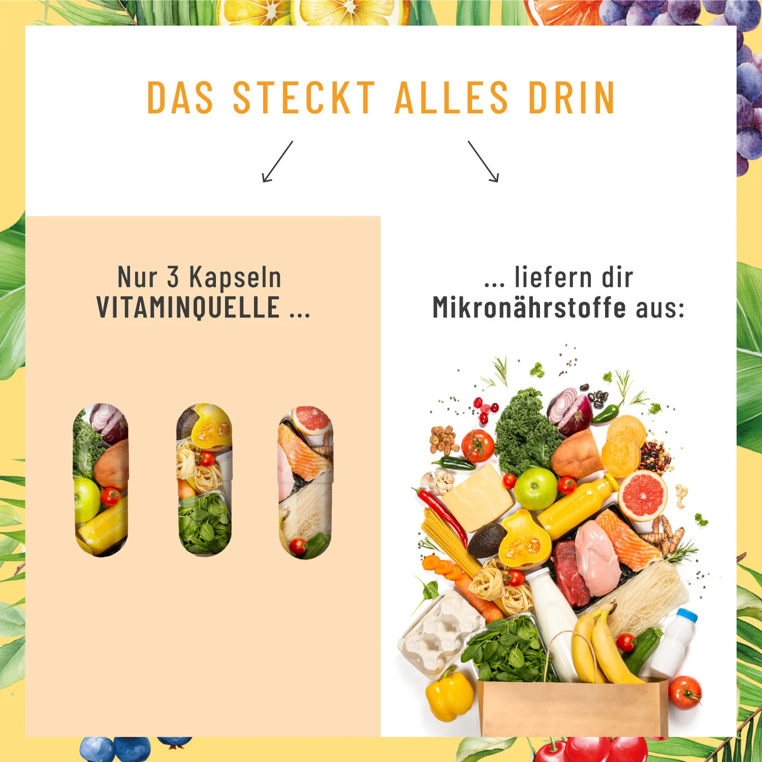Vitaminquelle: All in One Multivitamin mit 35 Vitaminen, Pflanzen- & Mineralstoffen - Image 7