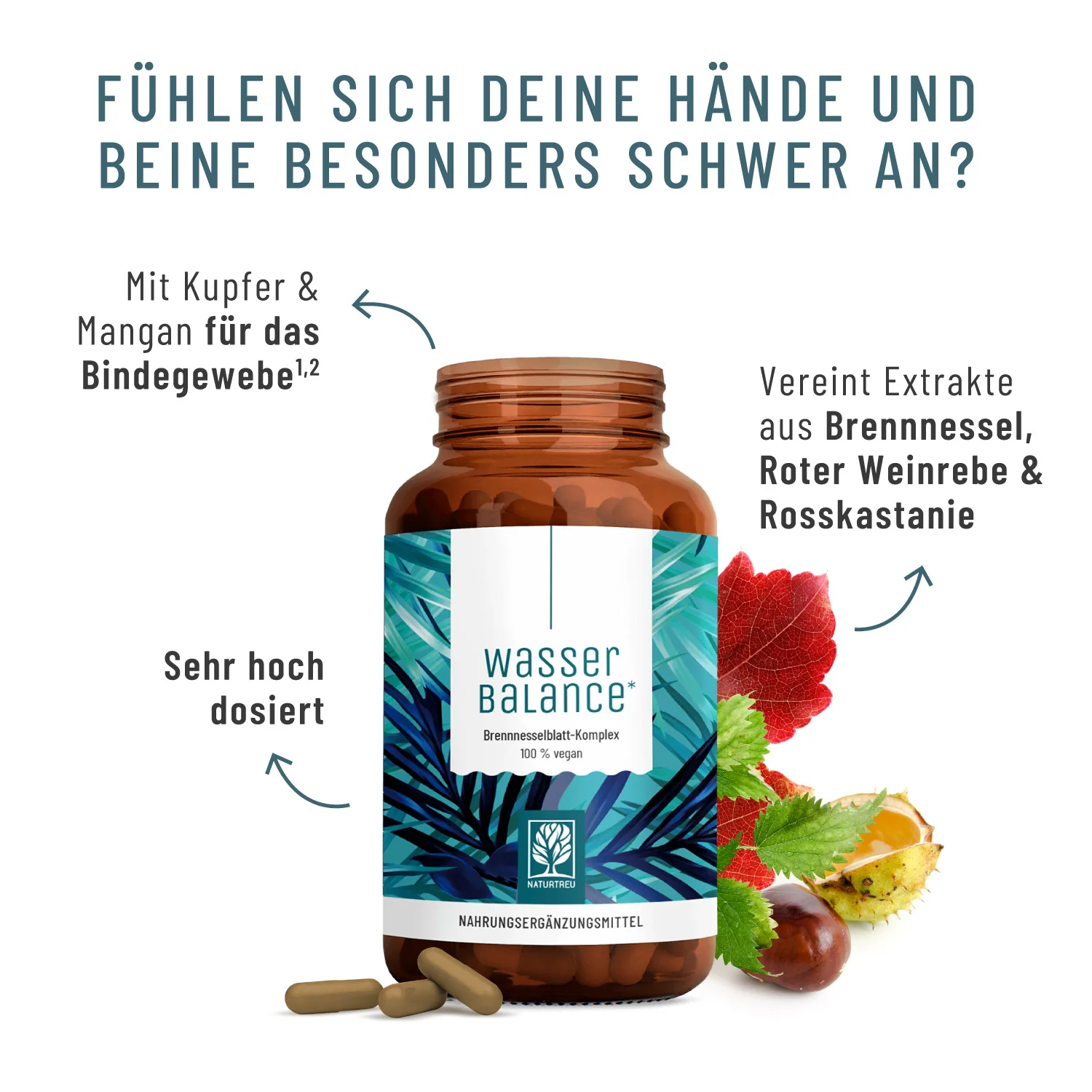 Wasserbalance: Brennnesselblatt-Komplex - Image 3