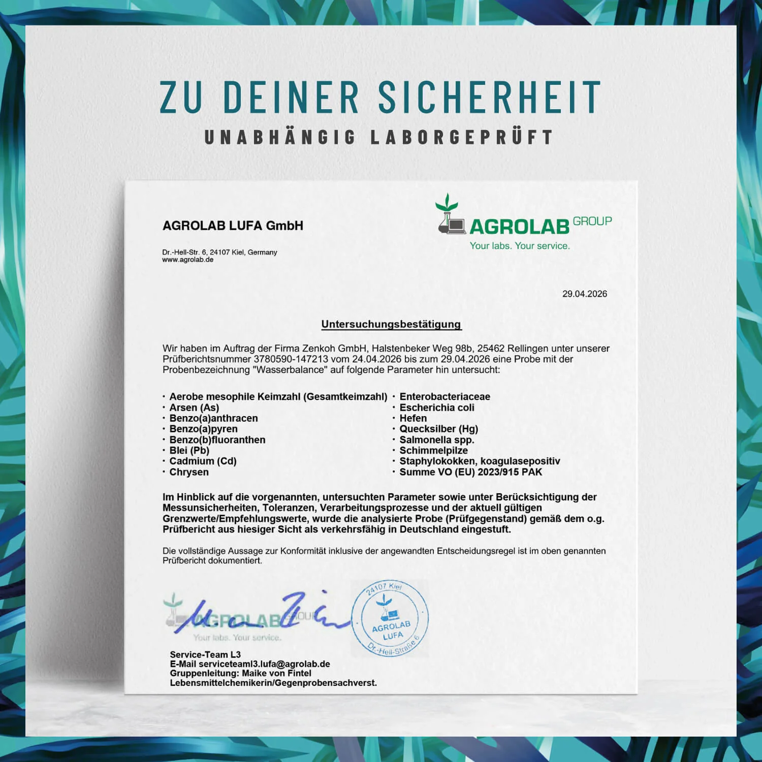 Wasserbalance: Brennnesselblatt-Komplex - Image 8