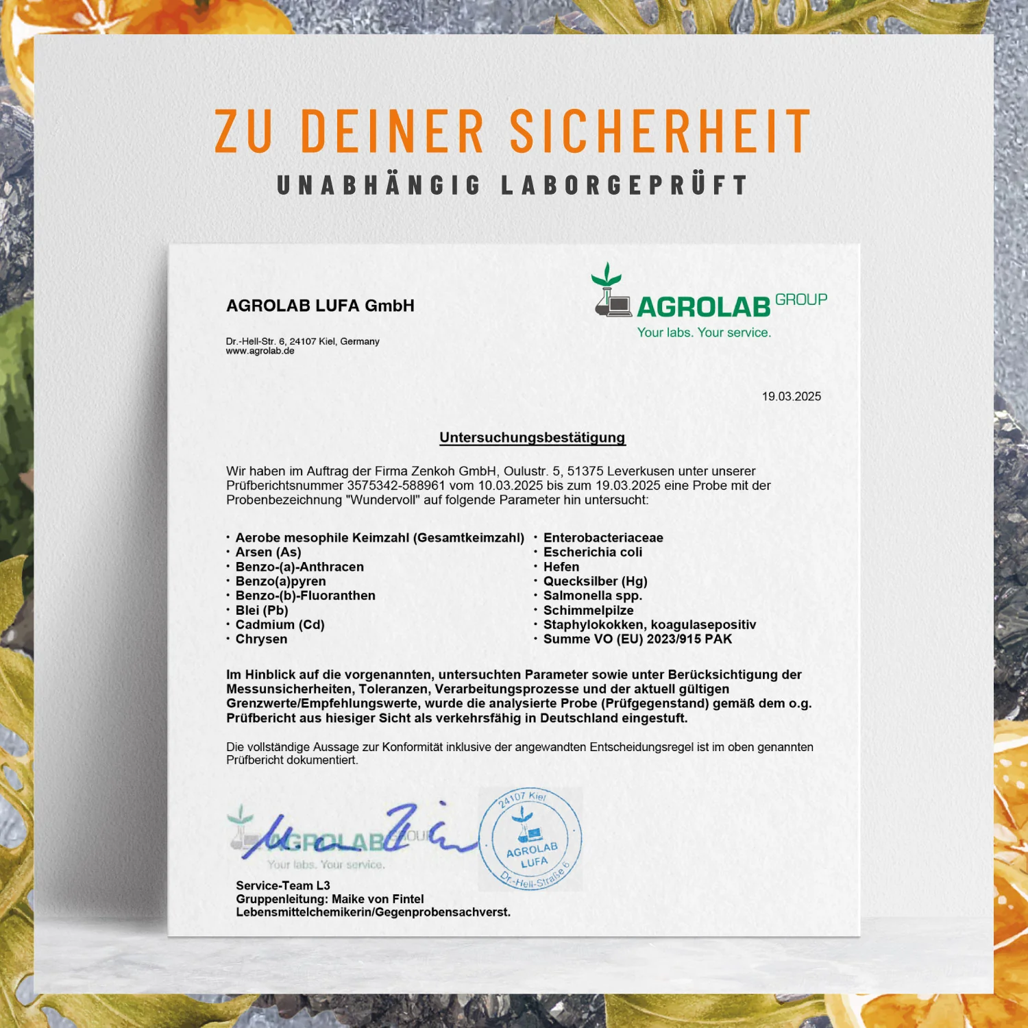 Wundervoll: Zink-Komplex Kapseln - Image 10
